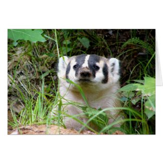 badger card