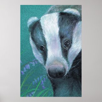 Badger in the bluebell woods art poster print