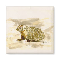 Badger Magnet
