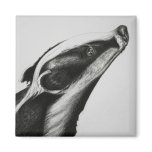 Badger Magnet