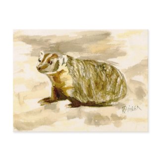 Badger Postcard postcard