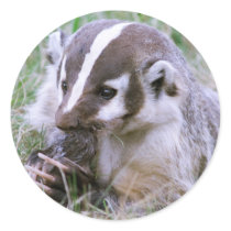 Badger Stickers