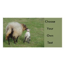 Badgerface Ewe with lamb Custom Photo Card