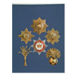 Badges from the Guards Division and the Five Foot Post Card