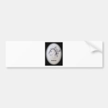 badhairday bumper sticker