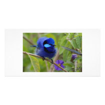 badhairday photo cards by adbetron badhairday photo cards