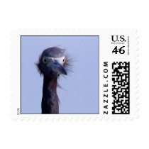 BadHairDay stamps