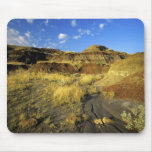 Badlands at Dinosaur Provincial Park in Alberta,