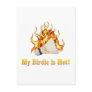 Badminton Birdie is Hot Post Card