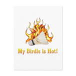 Badminton Birdie is Hot postcards