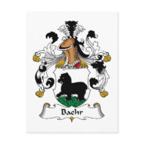 Baehr Family Crest Post Card