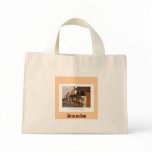 Bag for Groceries or Books
