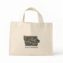 Bag: Iowa's Courthouses