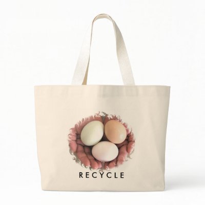 Bag, Recycle, Eggs Nested In Hands Photo by sunfluer