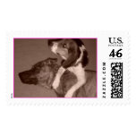 Bagel and Shenzi postage