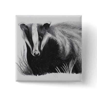 Bager Products - A ment of Calm Pin by kthomaswildlifeart