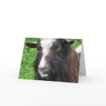 Bagot Goat | Blank Greeting Card
