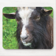 Bagot Goat | Farm Animal Mousepad