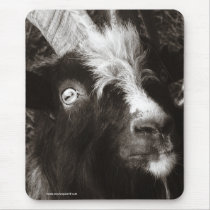 Bagot Goat Portrait Old Style Mousepad by SnapiKat Bagot Goat Portrait Old Style Mousepad