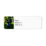 Bagpiper Return Address Labels
