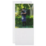 Bagpiper rack cards