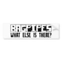 Bagpipes What Else Is There? bumper stickers by busybrain Bagpipes What Else Is There? bumper stickers