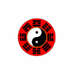 Bagua trigram ladies top t-shirts