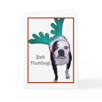 Bah Humbug! - Boston Terrier Card