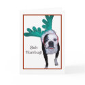 Bah Humbug! - Boston Terrier cards