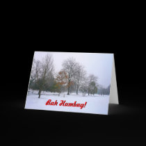 Bah Humbug! cards