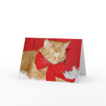 Bah Humbug! Card