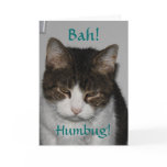 Bah! Humbug! - Cat's Holiday Greeting Card
