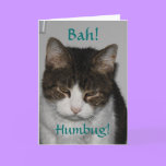 Bah! Humbug! - Cat's Holiday Greeting Card