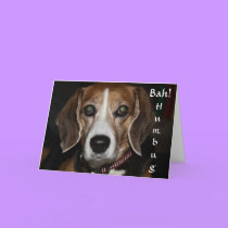 Bah! Humbug! - Dog's Holiday Greeting Card cards