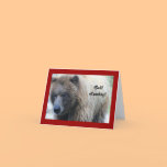 Bah! Humbug! Grizzly Bear Holiday Notecard cards