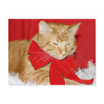 Bah Humbug! postcards by deemac1 Bah Humbug! postcards