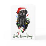 Bah HumPug Black Pug