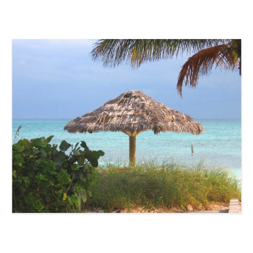 Bahama Beach Paradise Postcard