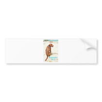 Bahama Bill Bumper Stickers