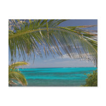 BAHAMAS, Abacos, Loyalist Cays, Man O'War Cay: