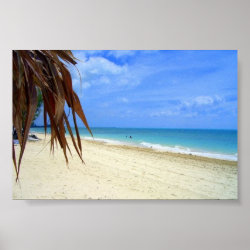 Bahamas Beach and Palm Tree print