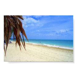 Bahamas Beach and Palm Tree print