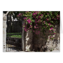 Bahamas Bougainvillia Garden Note Card