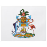Bahamas Coat of Arms Full Color Flyer