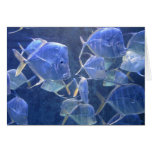 Bahamas Fish Card