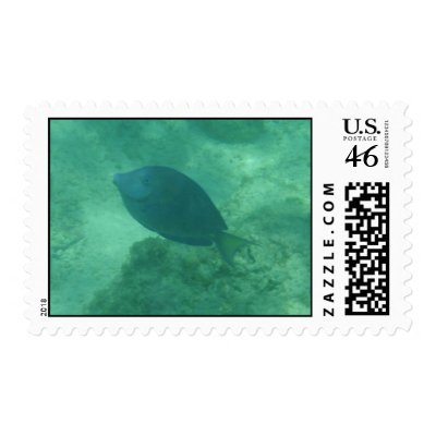 Bahamas Fish Postage Stamp by Perrys