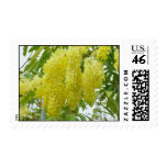 Bahama's Flower postage