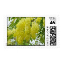 Bahama's Flower postage by dhale67 Bahama's Flower postage