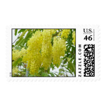 Bahama's Flower postage by dhale67 Bahama's Flower postage