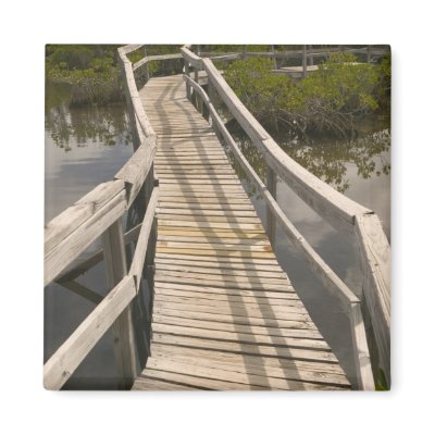 BAHAMAS, Grand Bahama Island, Eastern Side: Refrigerator Magnet by danitadelimont